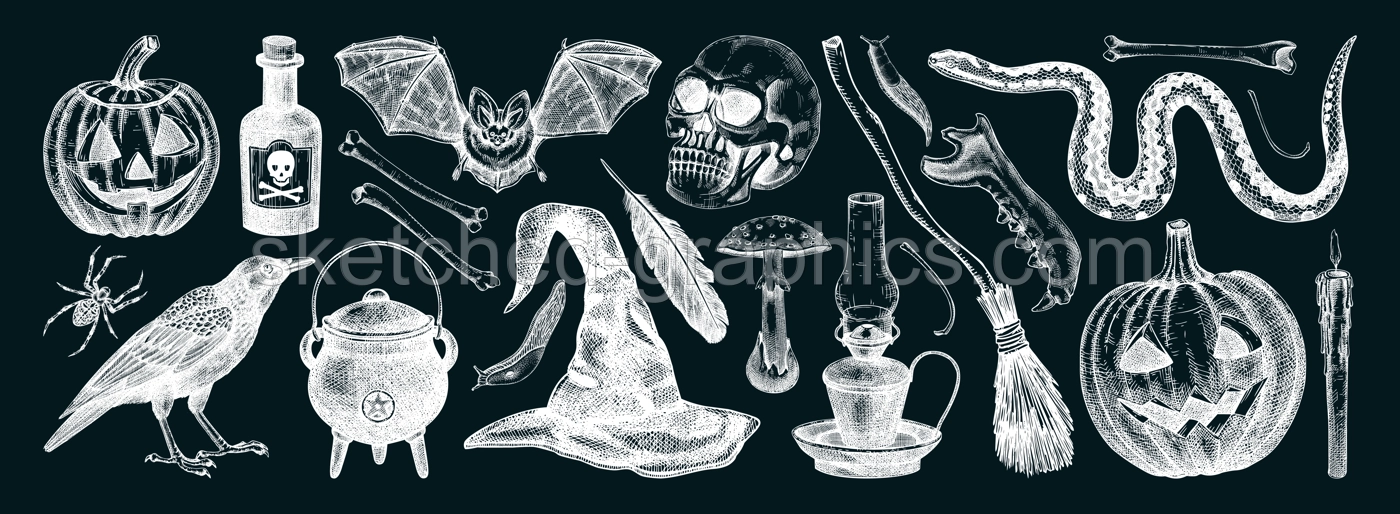 Halloween vector illustrations set on chalkboard. Skull, bones, pumpkin head, mushrooms, snakes, raven sketches. Hand drawn witchcraft and magic element for Halloween design, print, decoration Illustration